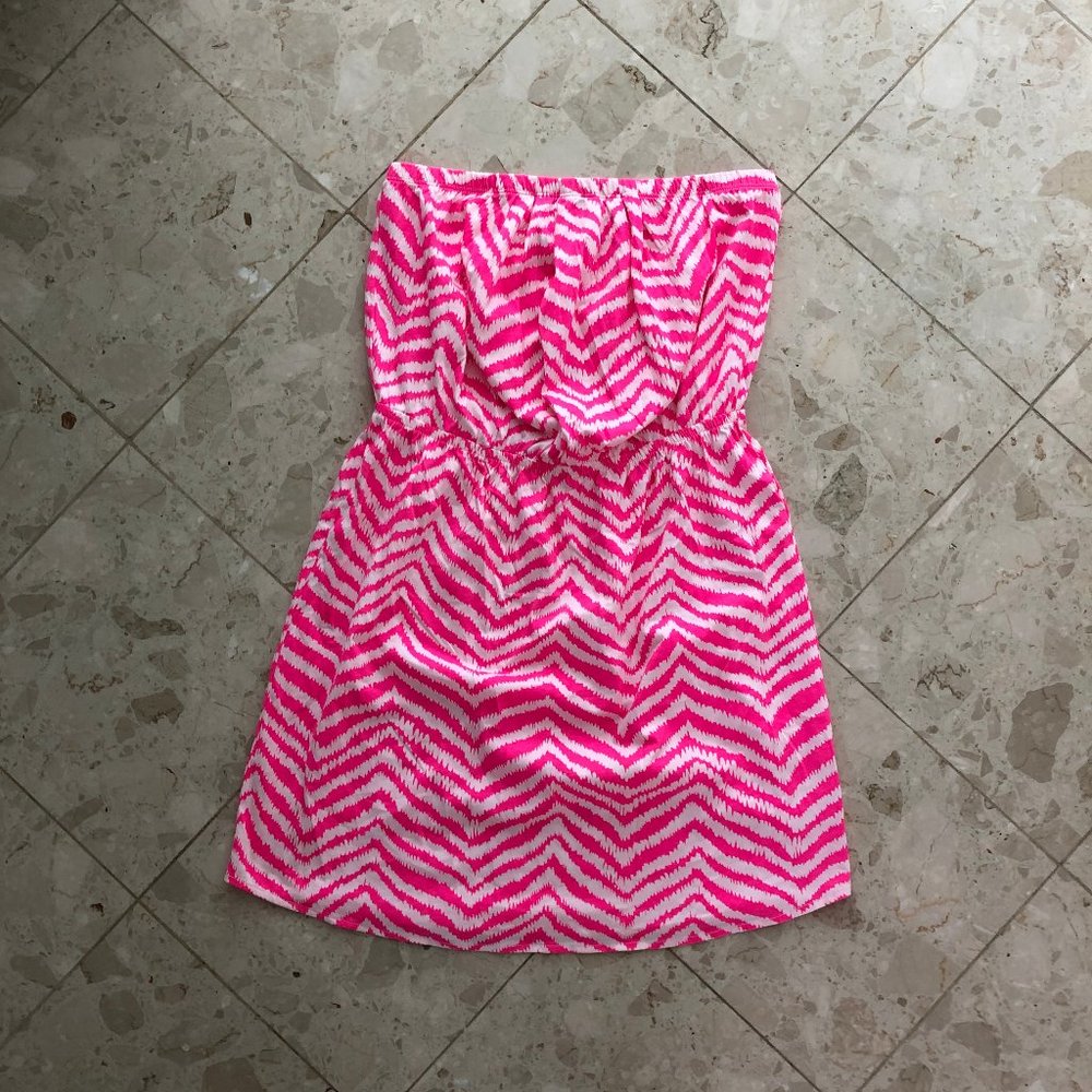 Lilly Pulitzer Zebron Print Windsor Dress